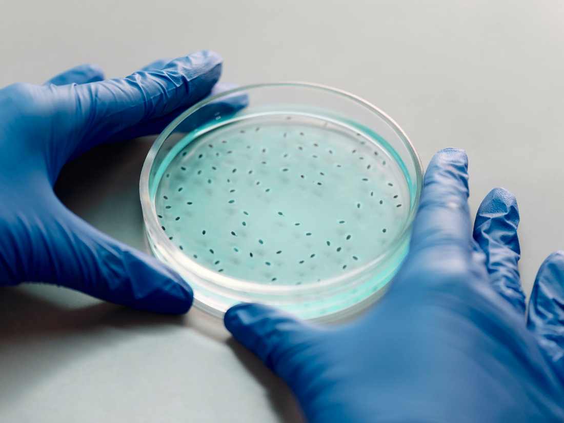 Oral Cell Renewal: The Scientific Code for Maintaining a Healthy Smile