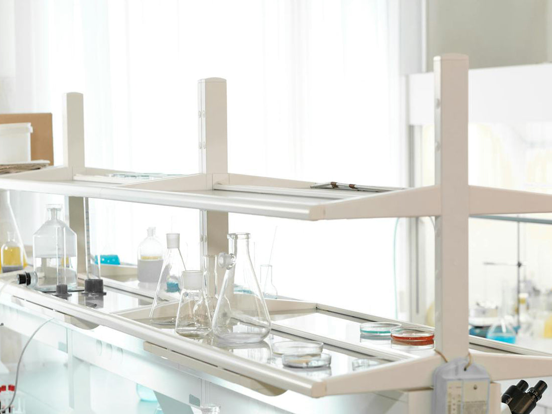 The Aging of Oral Cells and Health