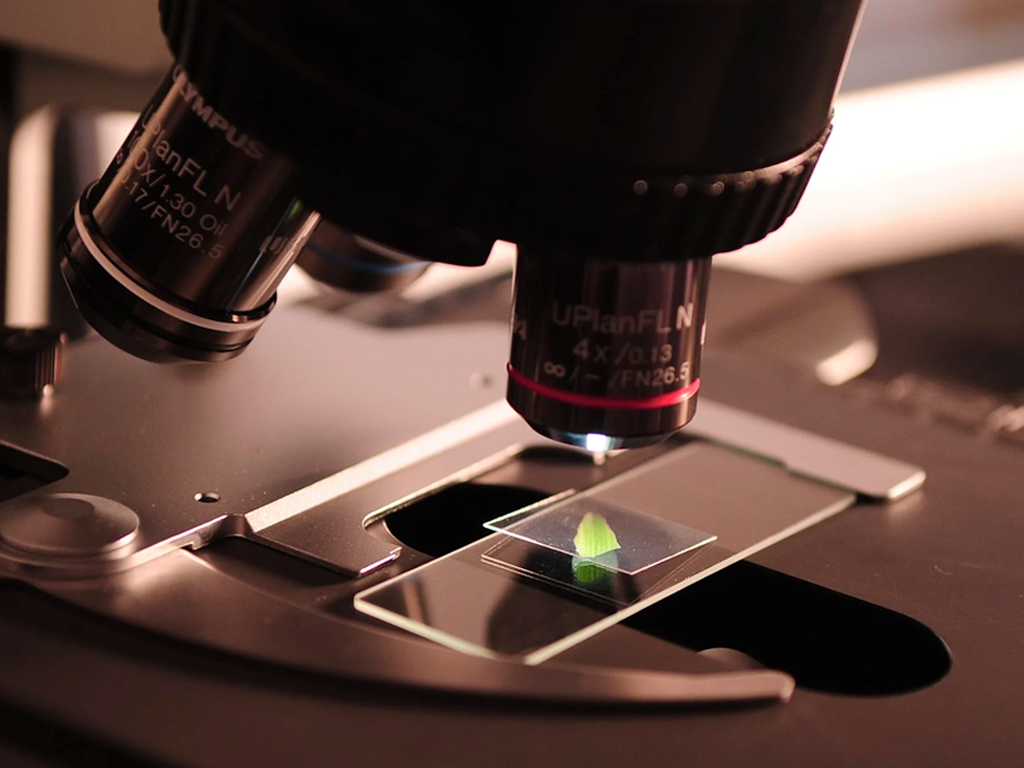Oral Cell Renewal Technology in Next-Generation Toothpaste