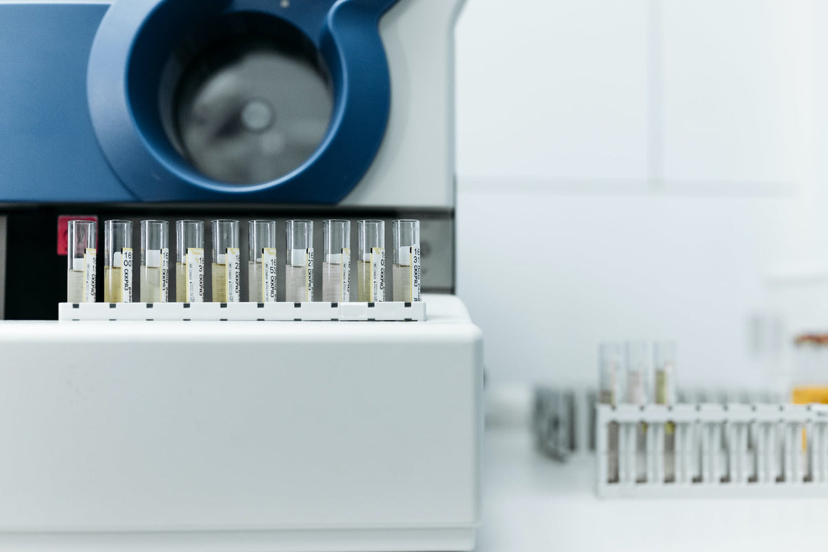 Nobaton Laboratory：The Science Behind Frankincense-infused Toothpaste